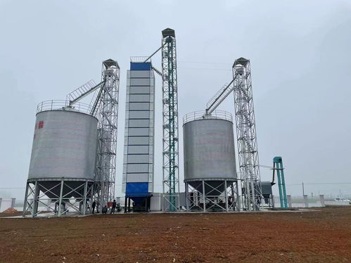 河南中瑞糧油機械詳述 面粉加工工藝流程與關鍵設備解析，兼論石化電力設備聯動