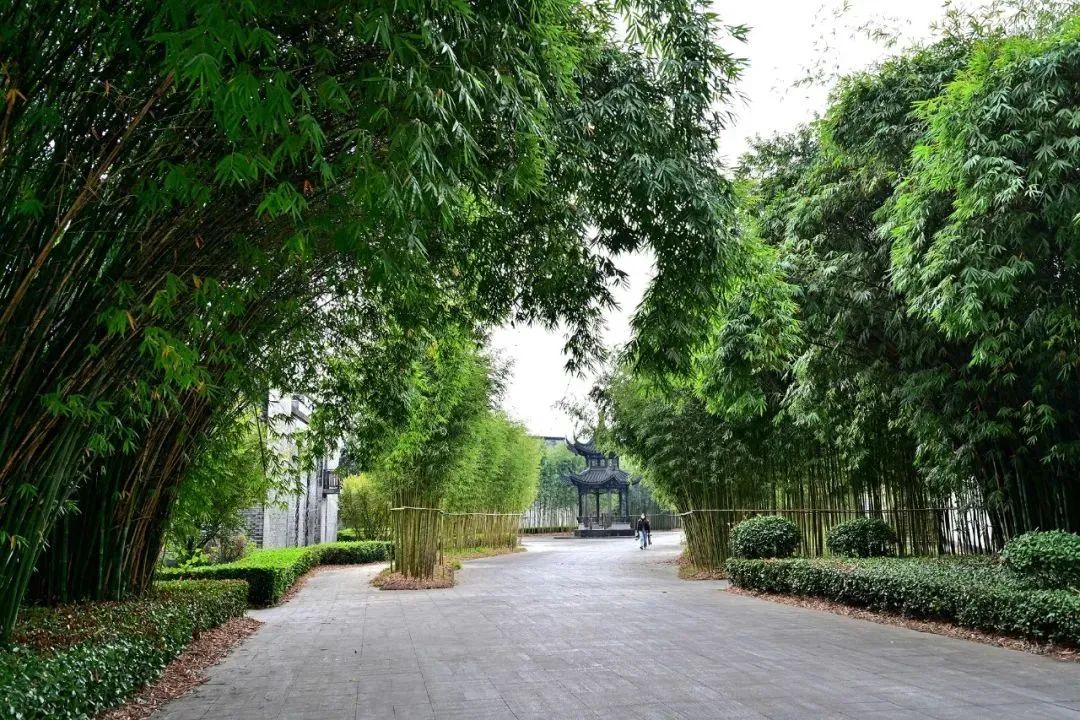 白云邊連續五年榮登旅行社服務網點旅游招徠正面清單，彰顯卓越服務品質