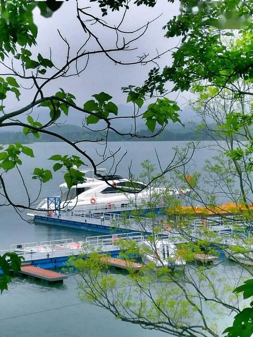 五一出游注意 安徽4A級(jí)及以上景區(qū)全部預(yù)約，旅行社服務(wù)網(wǎng)點(diǎn)規(guī)范招徠